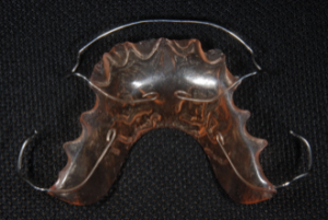 スクリーンショット 2026-02-08 9.27.53